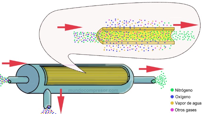 generador-membrana-nitrogeno-mundocompresor