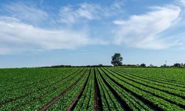 Tecnicas Reunidas - mundocompresor.com