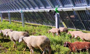 endesa - mundocompresor.com