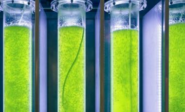 facsa - mundocompresor.com