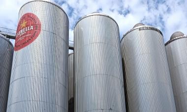 bondalti - mundocompresor.com