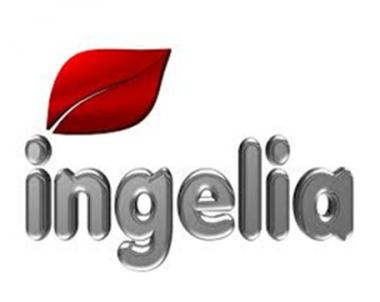 Ingelia - mundocompresor.com