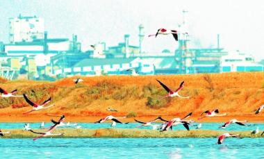 Lantania - mundocompresor.com