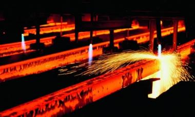 hydnum - mundocompresor.com